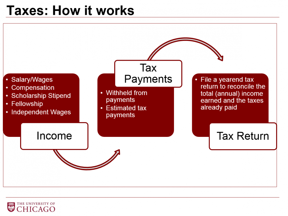 Tax Responsibilities For International Students And Scholars | The ...